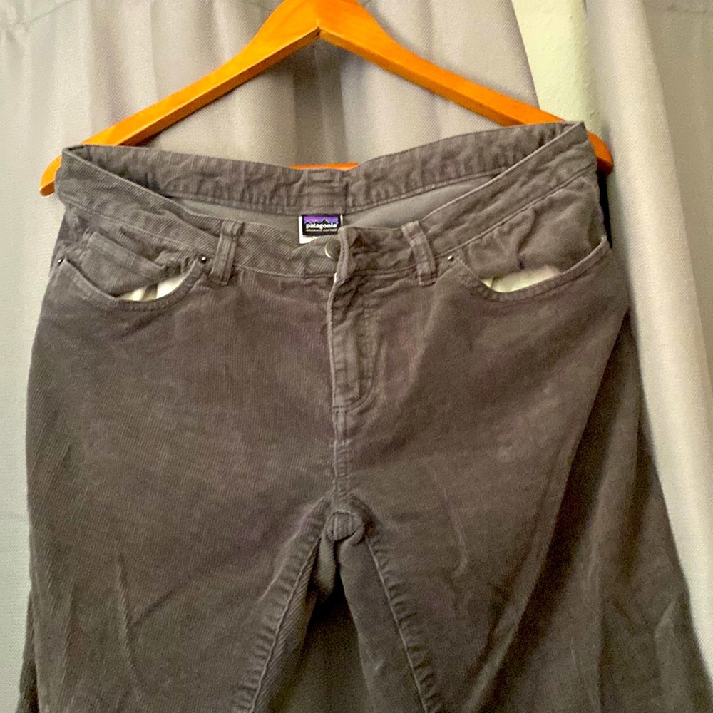 Patagonia pants